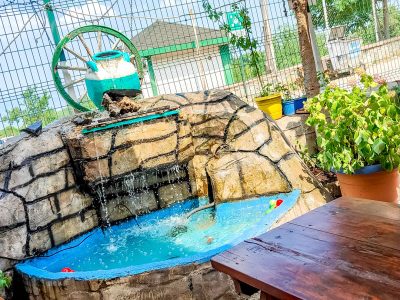 hacı arif dış (25)